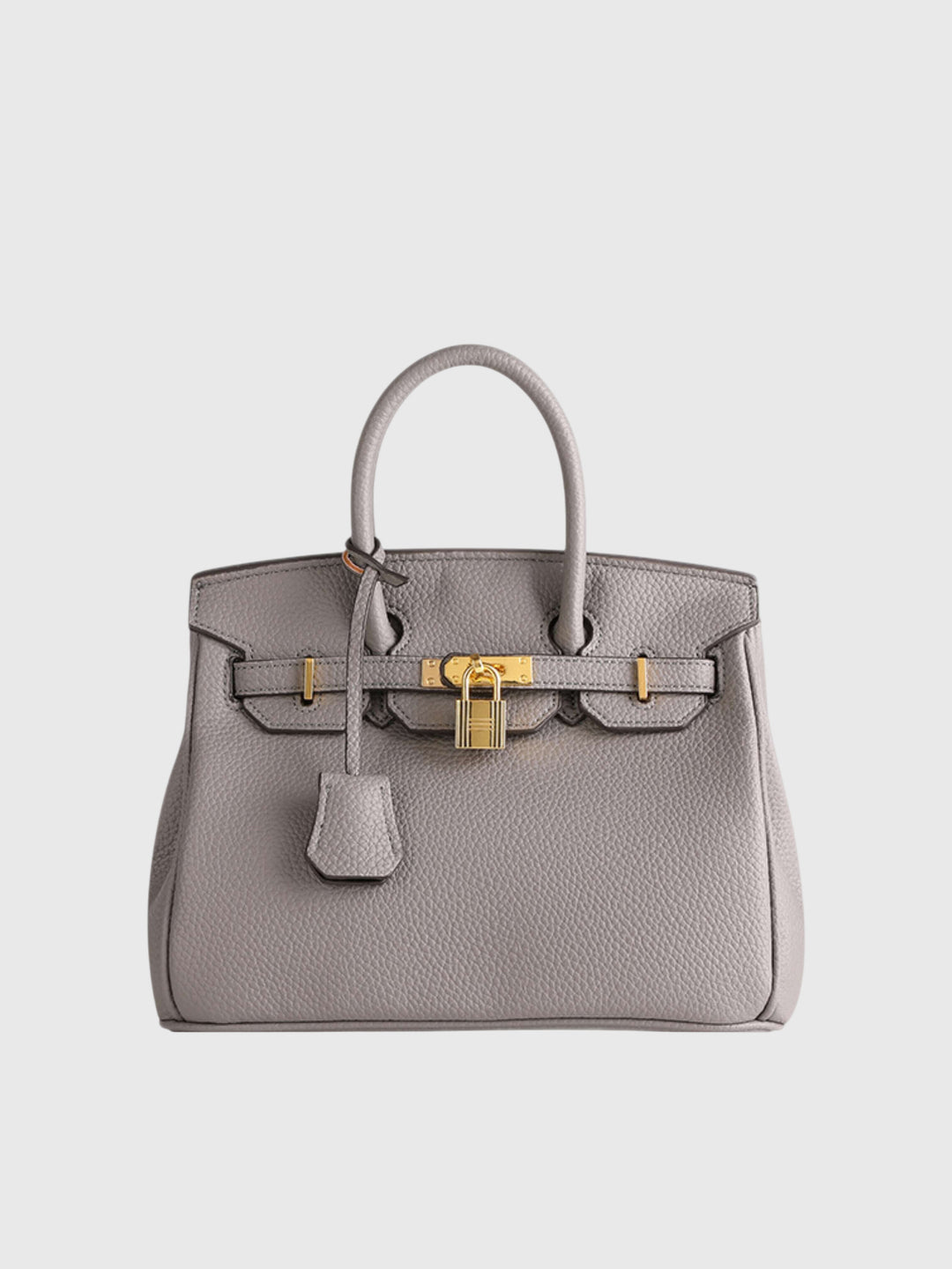 Colette | Structured Petite Lock Bag
